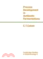 Process Development in Antibiotic Fermentations