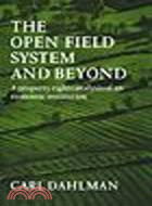 The Open Field System and Beyond:A property rights analysis of an economic institution