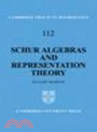 Schur Algebras and Representation Theory