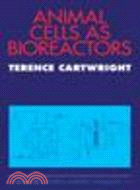 Animal Cells as Bioreactors