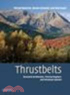 Thrustbelts:Structural Architecture, Thermal Regimes and Petroleum Systems