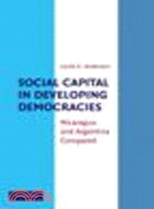 Social Capital in Developing Democracies ─ Nicaragua and Argentina Compared