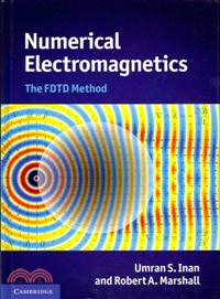 Numerical Electromagnetics