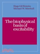 The Biophysical Basis of Excitability