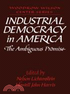Industrial Democracy in America：The Ambiguous Promise