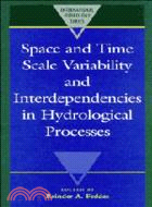 Space and Time Scale Variability and Interdependencies in Hydrological Processes