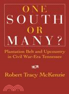 One South or Many?：Plantation Belt and Upcountry in Civil War-Era Tennessee