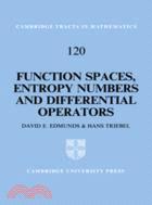 Function spaces, entropy numbers, differential operators
