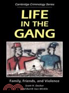 Life in the Gang：Family, Friends, and Violence