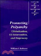 Promoting Polyarchy：Globalization, US Intervention, and Hegemony