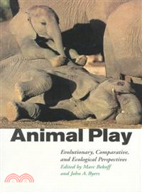 Animal Play