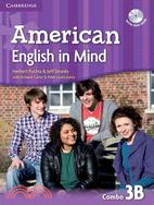 American English in Mind ─ Level 3, Combo B