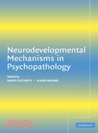 Neurodevelopmental Mechanisms in Psychopathology