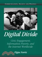 Digital Divide：Civic Engagement, Information Poverty, and the Internet Worldwide