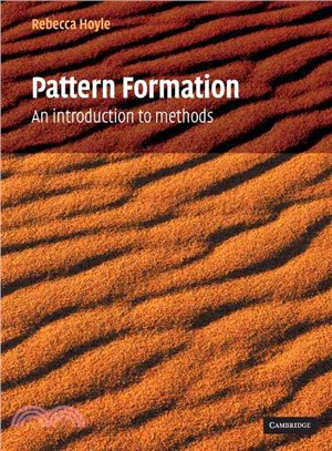 Pattern Formation：An Introduction to Methods