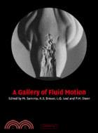 A Gallery of Fluid Motion