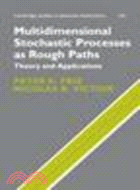 Multidimensional Stochastic Processes as Rough Paths:Theory and Applications