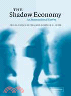 The Shadow Economy：An International Survey