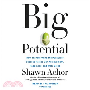 Big Potential ─ How Transforming the Pursuit of Success Raises Our Achievement, Happiness, and Well-Being