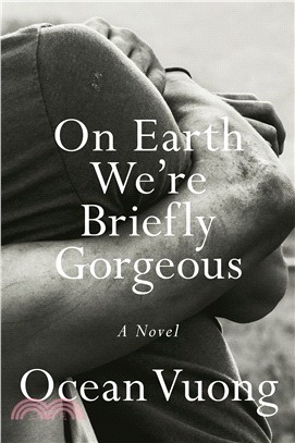 On earth we're briefly gorgeous :a novel /
