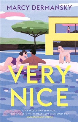 Very Nice：A novel