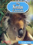 THE KOALAS OF AUSTRALIA