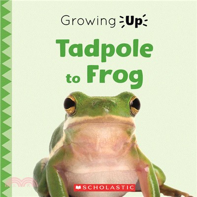 Tadpole to Frog (Growing Up) (平裝本)