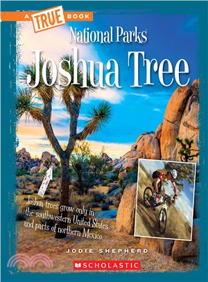 Joshua Tree