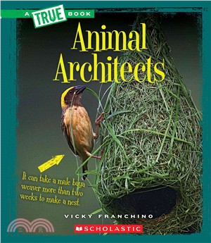 Animal Architects