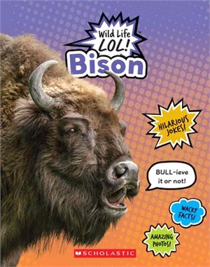 Bison