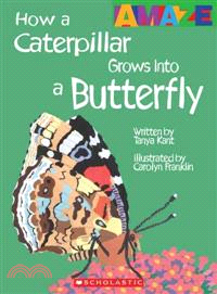 How a Caterpillar Grows Into a Butterfly