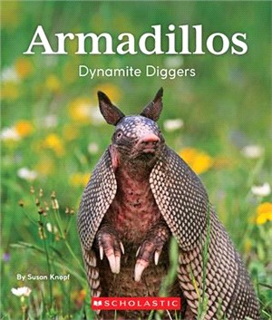 Armadillos ― Dynamite Diggers