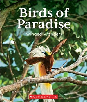 Birds of Paradise ― Winged Wonders