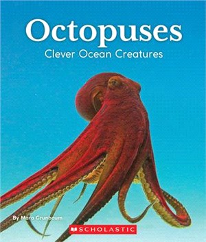 Octopuses ― Clever Ocean Creatures