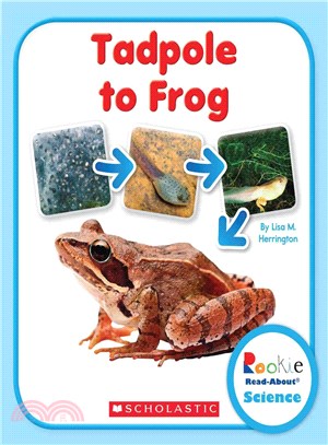 Tadpole to Frog