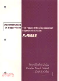 Documentation in Supervision—The Focused Risk Management Supervision System (Formss