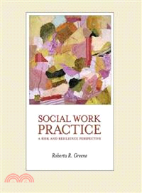 Social work practice :a risk...