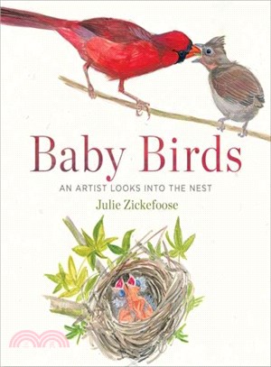 Baby Birds ─ An Artist Looks into the Nest