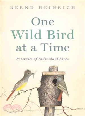 One Wild Bird at a Time ─ Portraits of Individual Lives