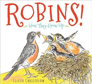 Robins! ─ How They Grow Up