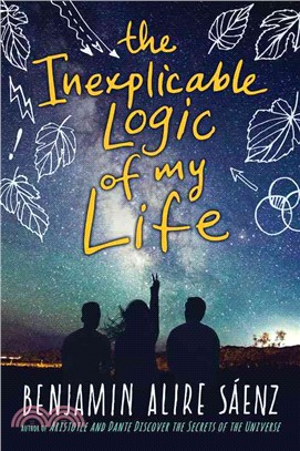 The inexplicable logic of my life :a novel /