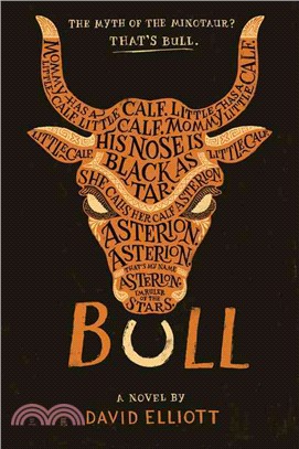 Bull :a novel /