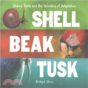 Shell, Beak, Tusk ─ Shared Traits and the Wonders of Adaptation