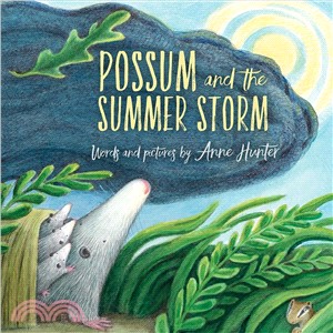 Possum and the summer storm ...