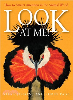 Look at me! :how to attract attention in the animal world /