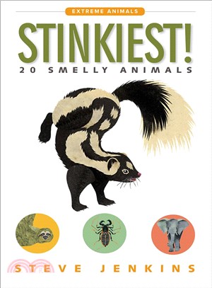 Stinkiest! :20 smelly animals /