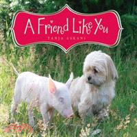 A Friend Like You