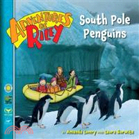 South Pole Penguins