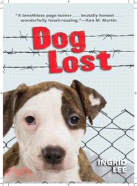 Dog Lost