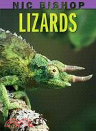 Lizards /